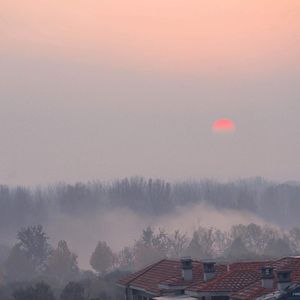 黄色电影网站下载
